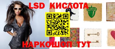 молекула духа Ставрополь