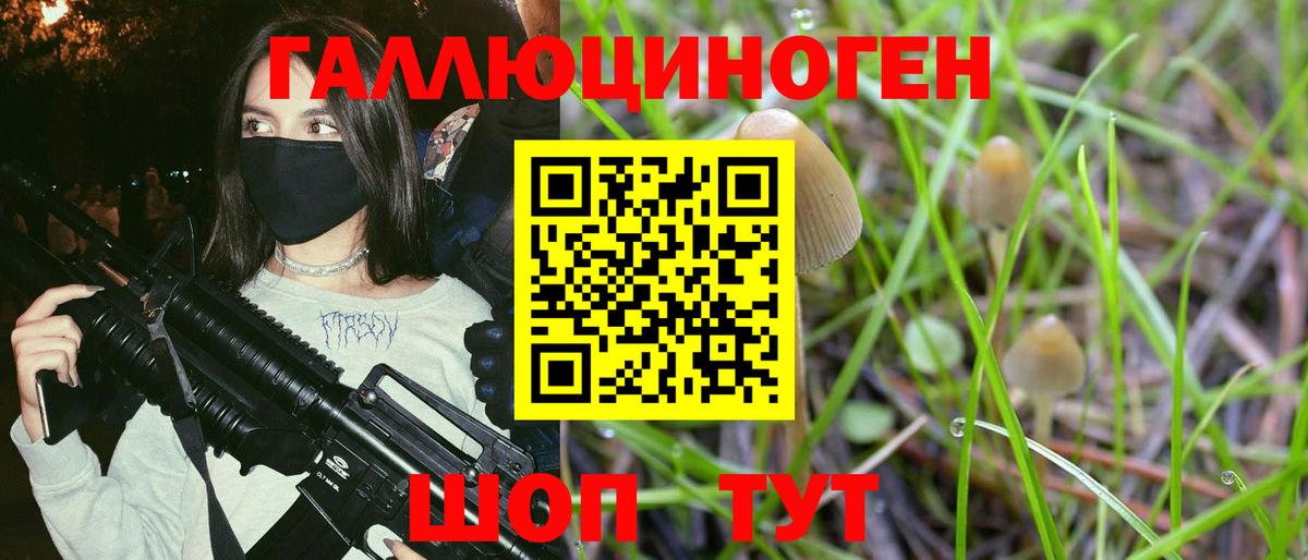 Первоуральск  Галлюциногенные грибы Psilocybe  Вход с VPN 